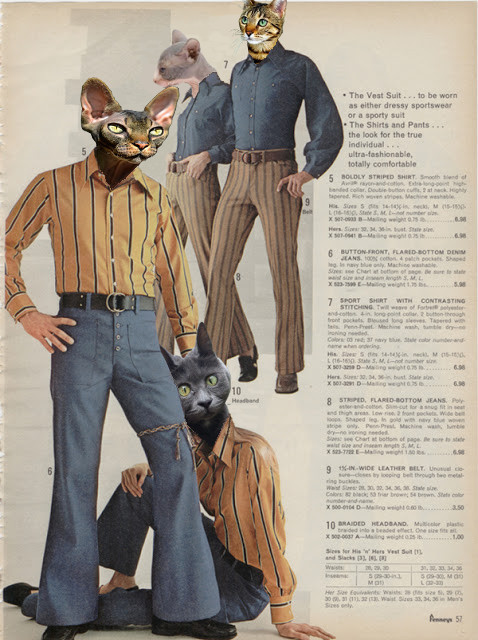 Catman's Fashion Advertising 3